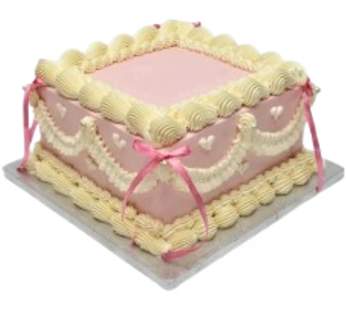 Square Cakes